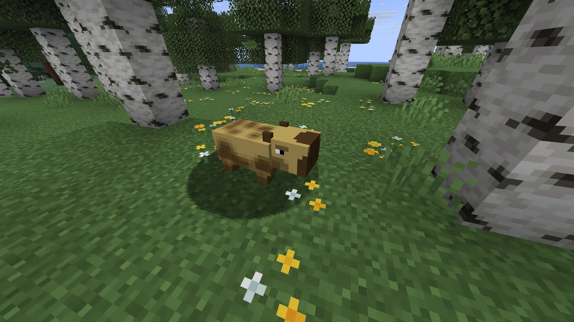 Capybara
